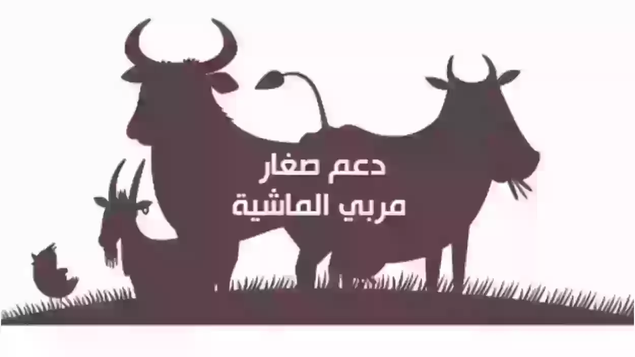 طريقة تحديث بيانات مستفيدي دعم مربي الماشية 