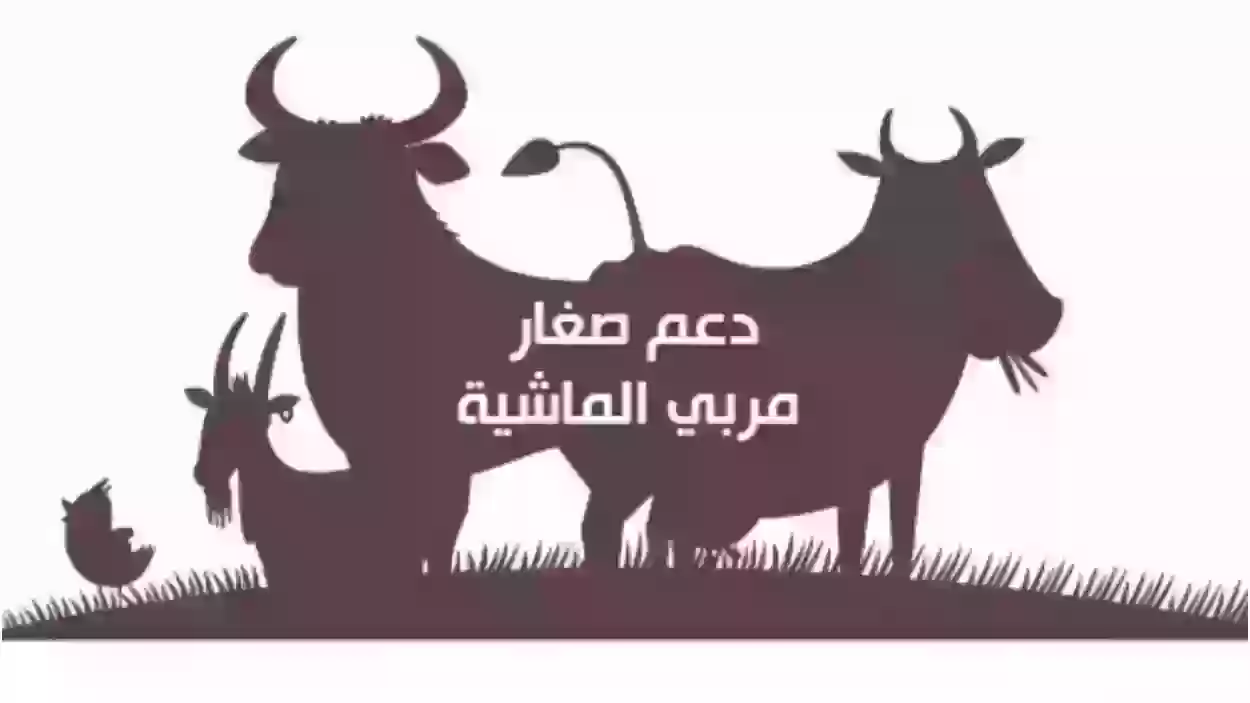 خطوات تحديث بيانات دعم صغار الماشية