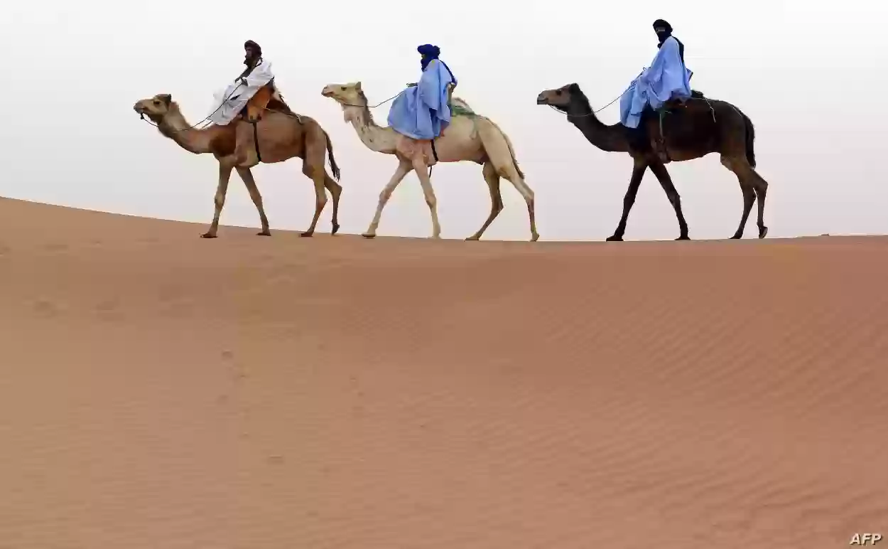 النومسي وش يرجع