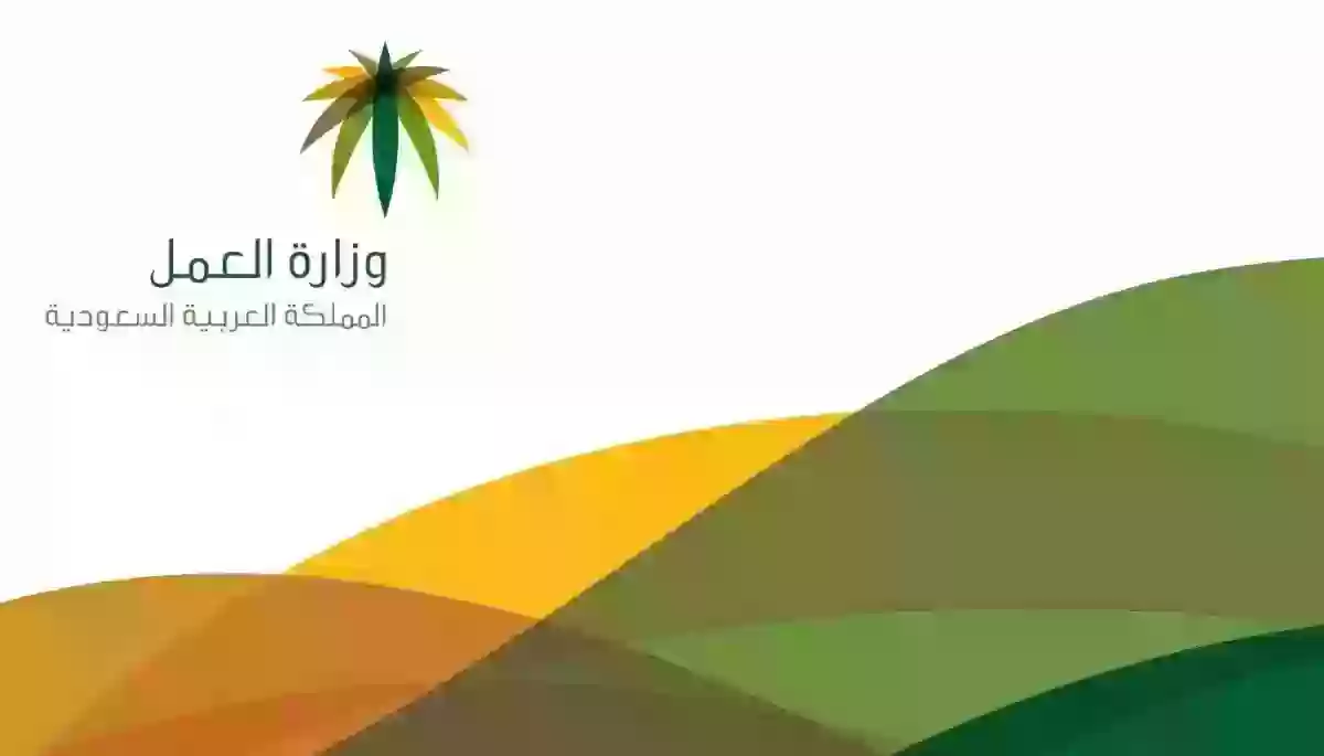 بعد استحداث القانون | كم عدد مرات نقل الكفالة المسموح بها بالسعودية؟