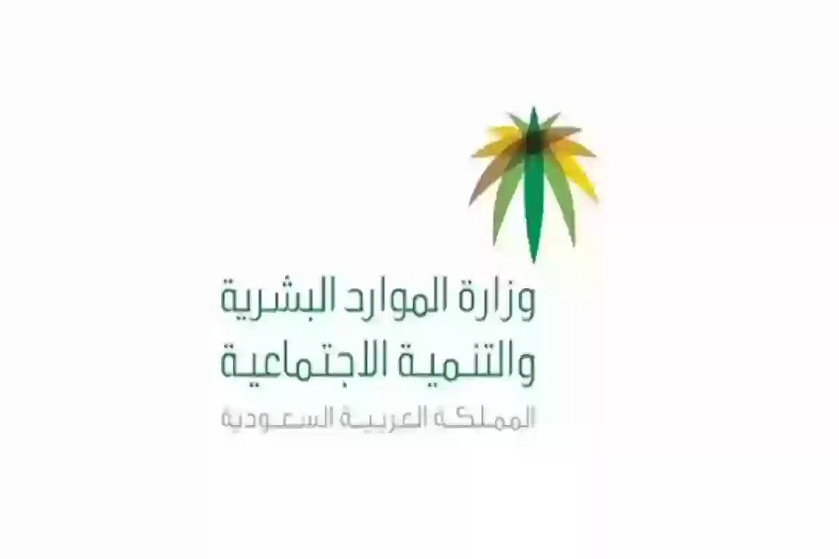 الموارد البشرية تعلن سلم رواتب الضمان المطور الجديد في السعودية وشروط التسجيل